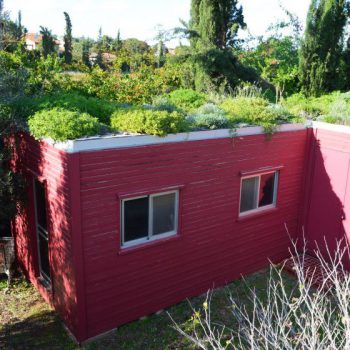 Lush-Green-Roof-Israel-840x560