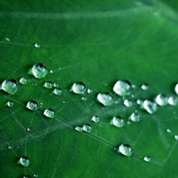 Water drops by Photoctor